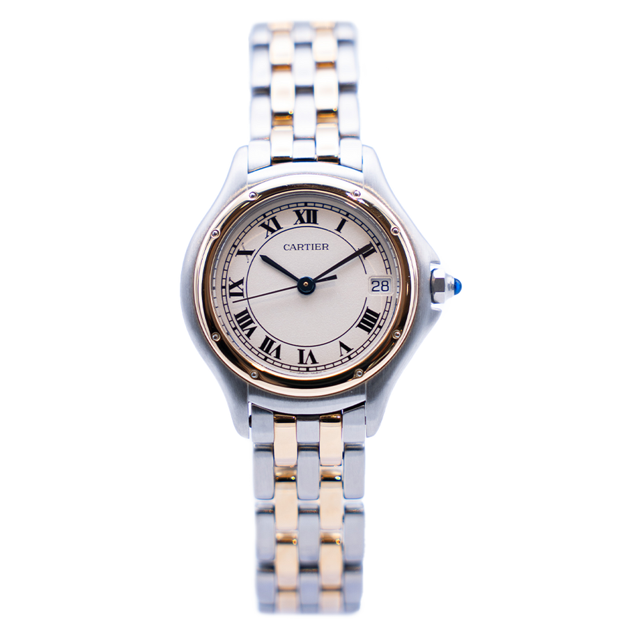 Cougar Ref.187906