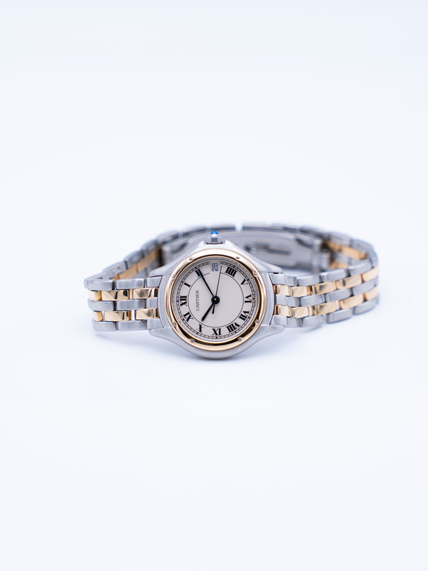 Cougar Ref.187906